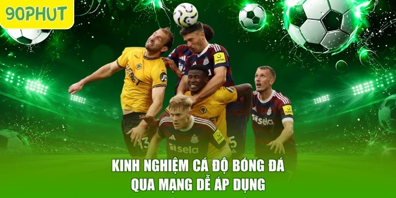 Kinh nghiệm cá độ bóng đá qua mạng dễ áp dụng